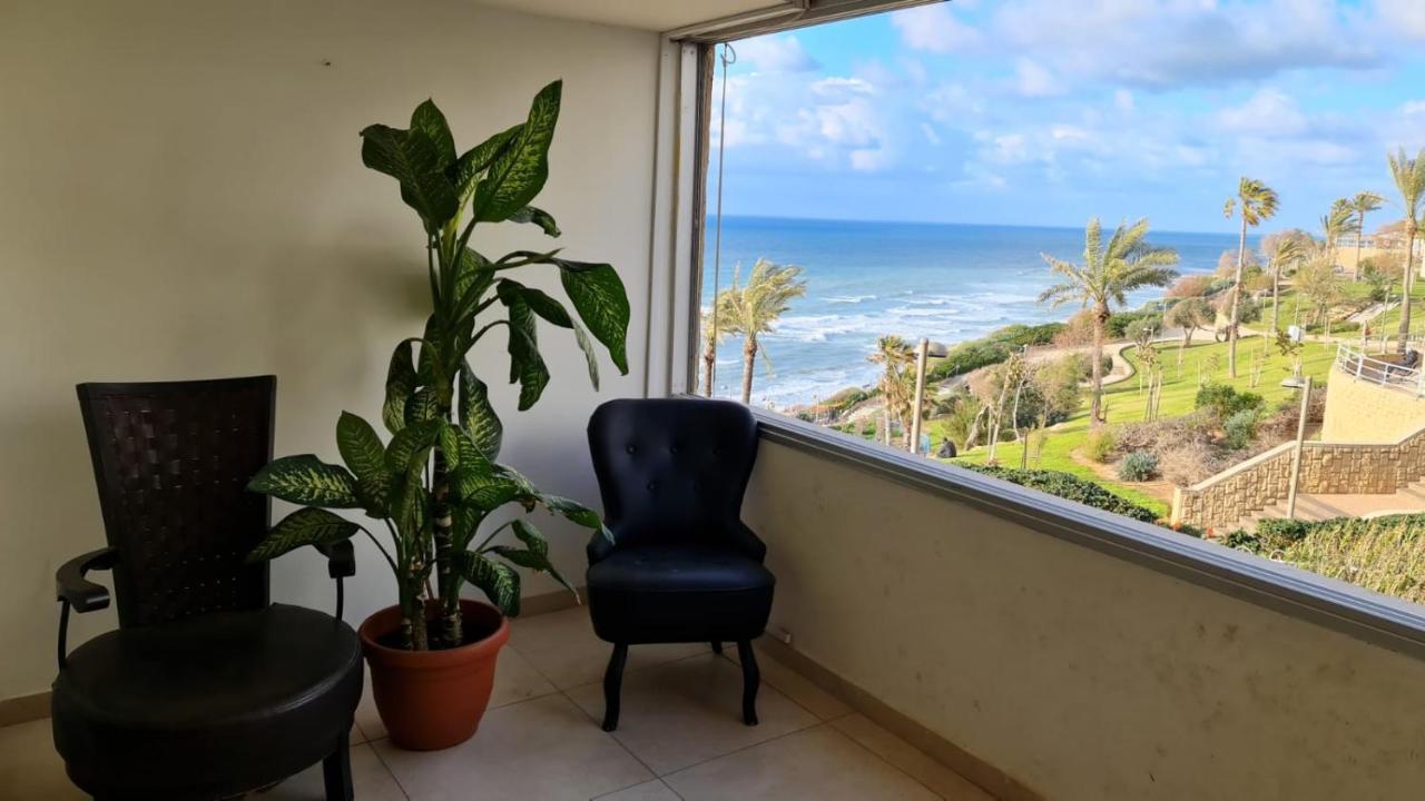 דירות נתניה טרסת העץ המלכותית חוף צאנז עם בריכת זרמים פרטית לציבור החרדי מראה חיצוני תמונה